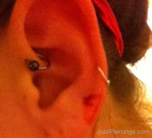 Daith Piercing With Black Ball Closure Ring-JP1207