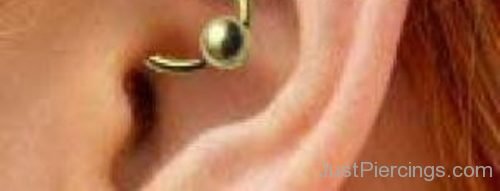 Daith Piercing With Gold Ball Closure Ring-JP1221