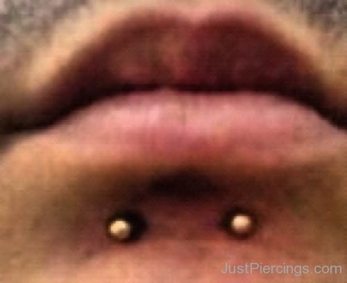 Dolphin Bites Piercing With Golden Studs-JP1055