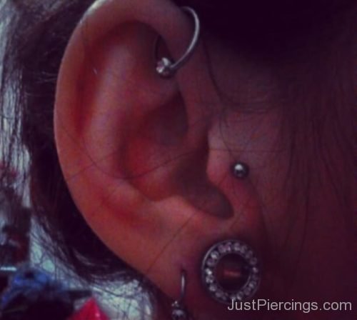 Dual Lobe, Tragus And Helix Ear Piercings-JP1062