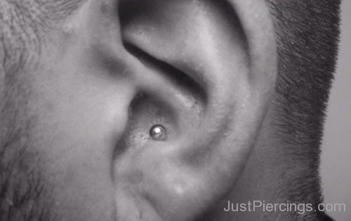 Ear Conch Piercing-JP1113