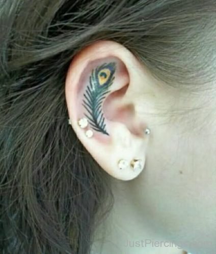 Ear Piercing And Feather Tattoo In Ear-JP1186