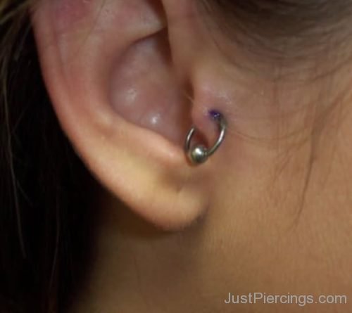 Ear Piercing With Tragus Hoop Ring-JP1096