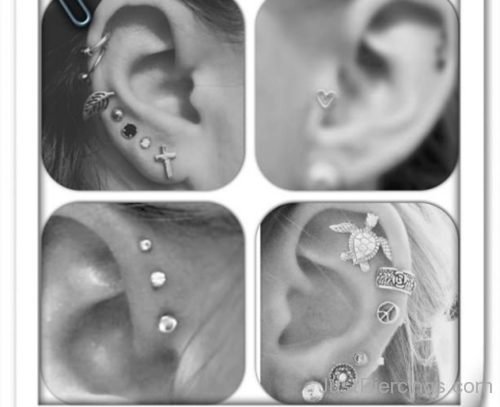 Ear Piercings Picture Collections-JP1101
