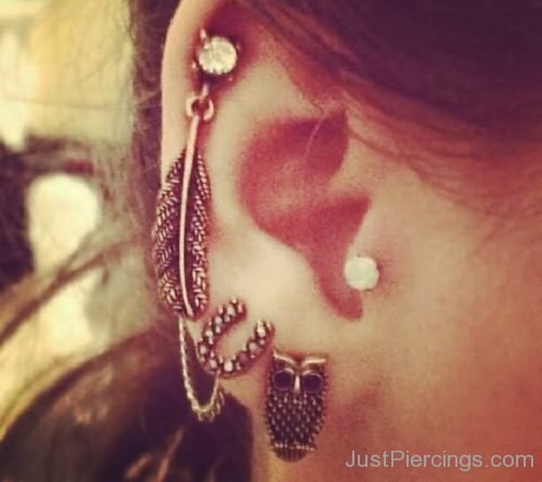 Feather, Horse Shoe And Owl Studs Ear Piercings-JP113
