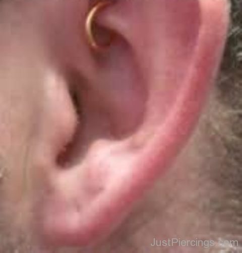 Gold Ring Rook Ear Piercing-JP1051