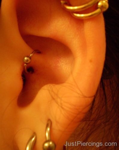 Helix And Daith And Dual Lobe Piercing With Gold Ball Closure Rings-JP1381