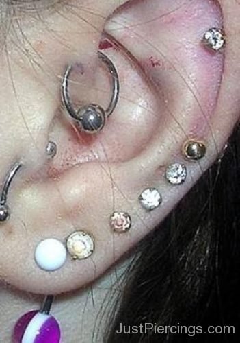 Helix, Daith And Multiple Lobe Piercing For Ear-JP1394
