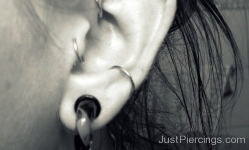 Helix,Anti Helix,Tragus And Conch Piercing-JP1121