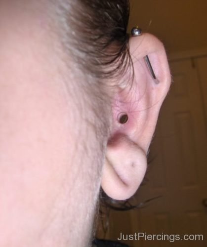 Industrial And Conch Piercing-JP1123
