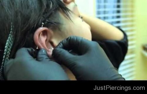 Industrial And Conch Piercing-JP1167