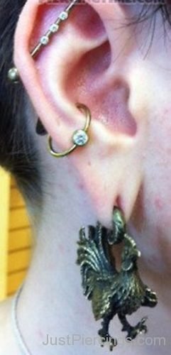Industrial Lobe And Conch Piercing-JP1175