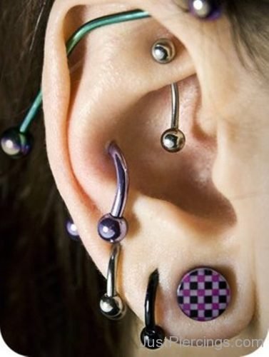 Industrial Rook Lobe And Conch Piercing-JP1111