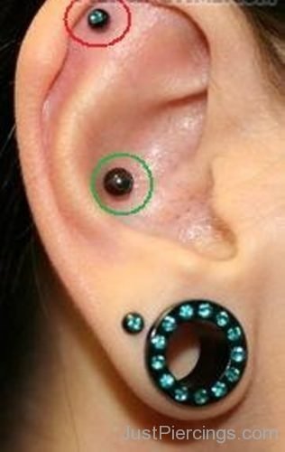 Inner-Outer Conch Piercing-JP1188