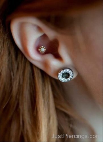 Ladies Conch Piercing In Ear-JP1137