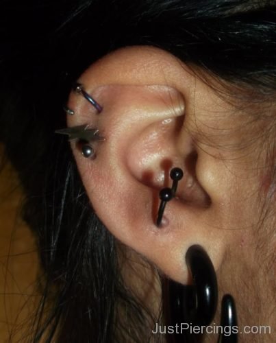 Lobe, Anti Tragus And Cartilage Ear Piercing-JP1095