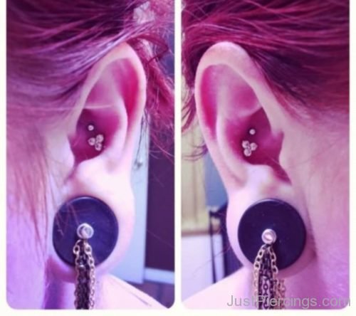 Lobe Gauge And Ear Piercings-JP1153