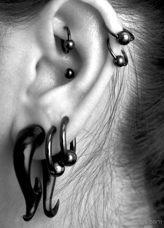 Lobe, Rook And Dual Cartilage Ear Piercings