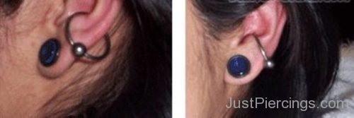 Lobe Stretching And Conch Piercing With Ball Closure Ring-JP1203