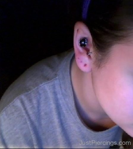 Lovely Nose, Ear Conch And Tragus Piercing-JP1135