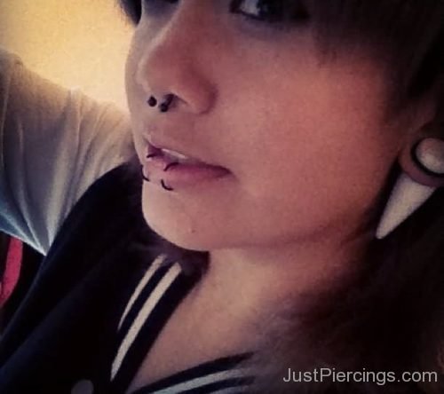 Septum And Dolphin Bites Piercing With Black Rings-JP1107