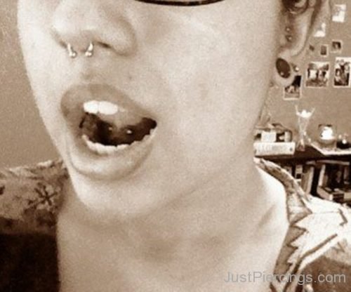 Septum And Dual Conch Piercing-JP1189