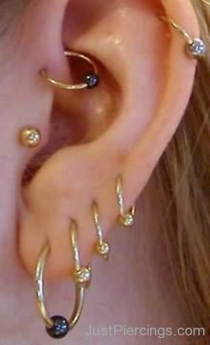 Several Ear Piercings With Rings-JP1138