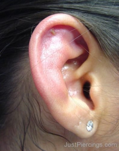 Simple Lobe Ear Piercing-JP1242