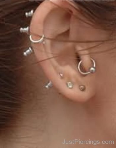 Tragus And Ear Lobes stud Piercings-JP147