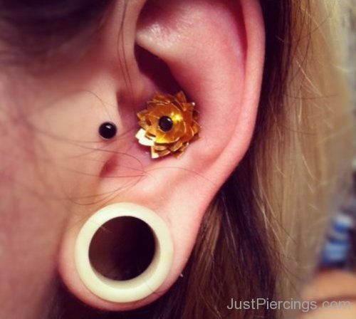 Tragus Lobe And Conch Piercing-JP1200