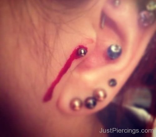 Tragus, Tripple Lobe And Rook Ear Piercing-JP1298