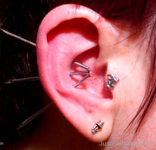 Triple Conch And Tragus Piercing-JP1204