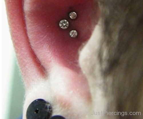 Triple Conch Piercing In Ear-JP1205