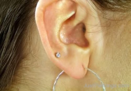 Upper Lobe And Standard Lobe Ear Piercing 45-JP1195
