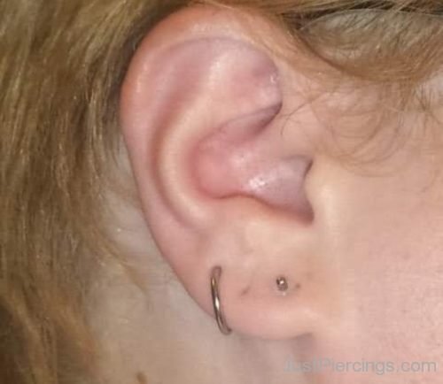 Upper Lobe And Standard Lobe Ear Piercings-JP1196