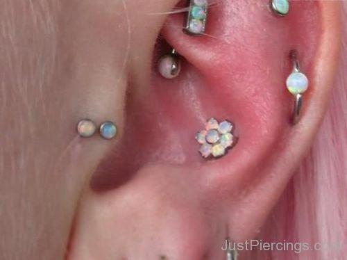 Tragus Pair, Rook, Cartilage And Inner Conch Ear Piercing-JP1177