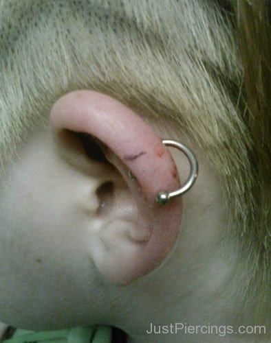Helix Piercing With Gold Circular Barbell-JP1070