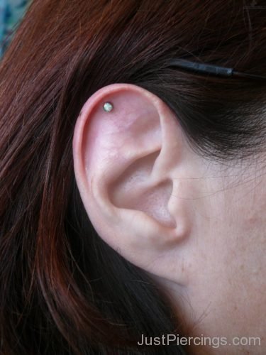 Helix Piercing With Gold Stud For Ear-JP1071