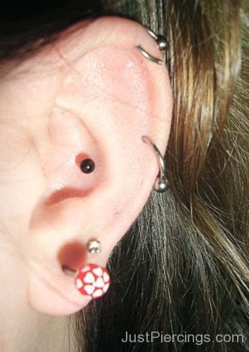 Inner Conch , Lobe And Helix Piercing-JP1088