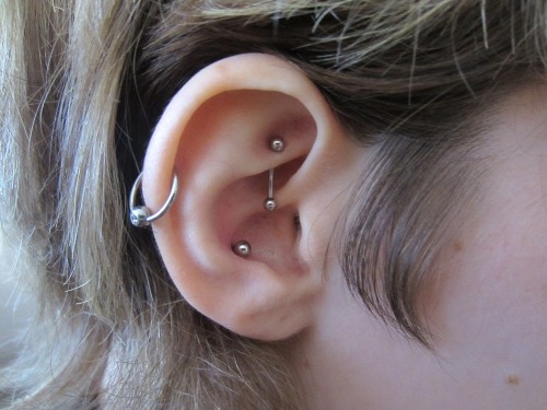 Rook, Conch and Lobes